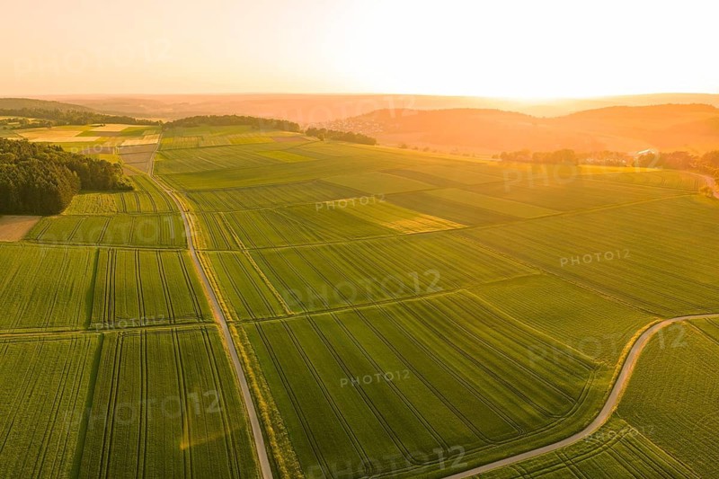 Aerial view of large fields in warm, golden sunlight, Gechingen, Hecken and Gäu region, Landreis Calw, Germany