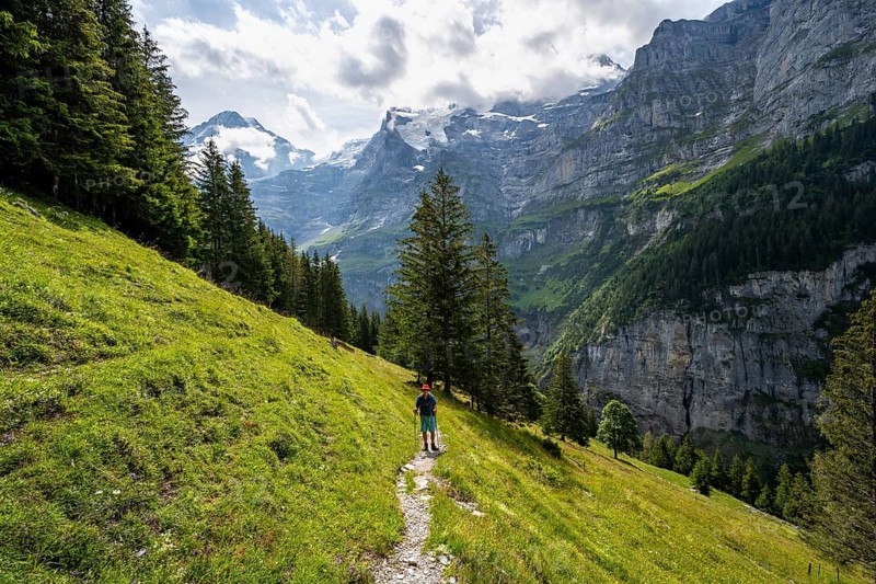 Hiker on a hiking trail on Mettlenalp, mountain panorama with Jungfrau summit, Bernese Alps, Bernese Oberland, Switzerland