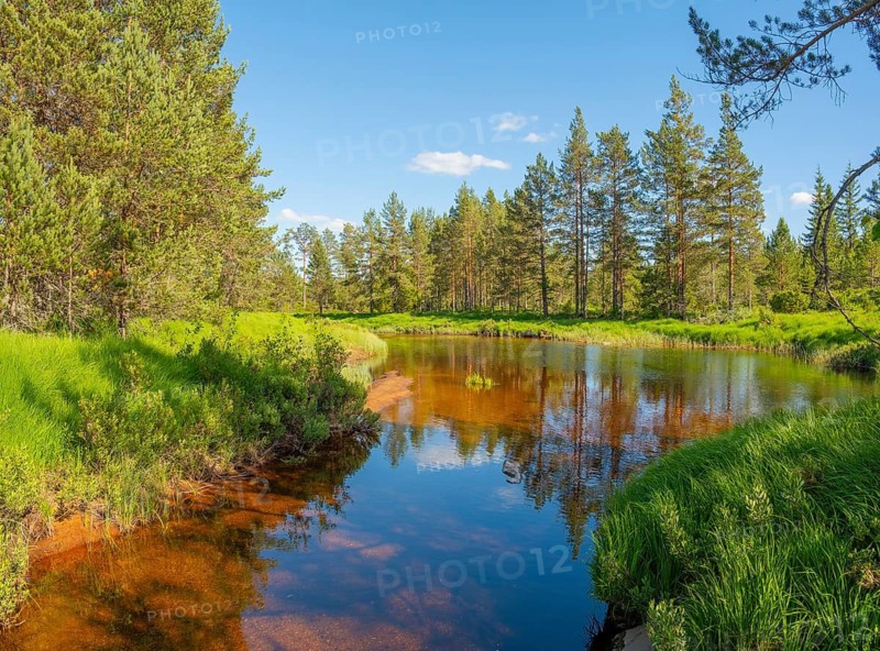 View along a river in the Norwegian countryside, Åmli, Agder, Norway