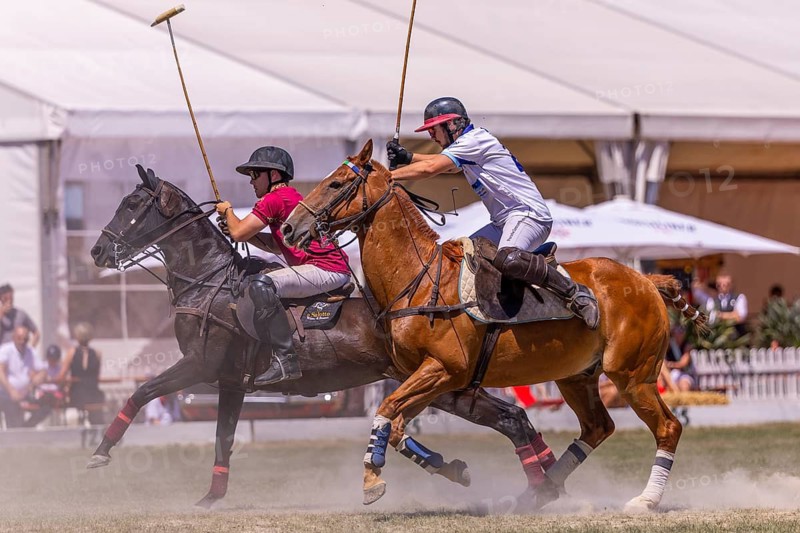 Polo player, polo horse, polo pony (Equus), rider, polo tournament, 1295 Polo Masters, Sylvenstal, Pfullendorf, Linzgau, Sigmaringen district, Baden-Württemberg, Germany