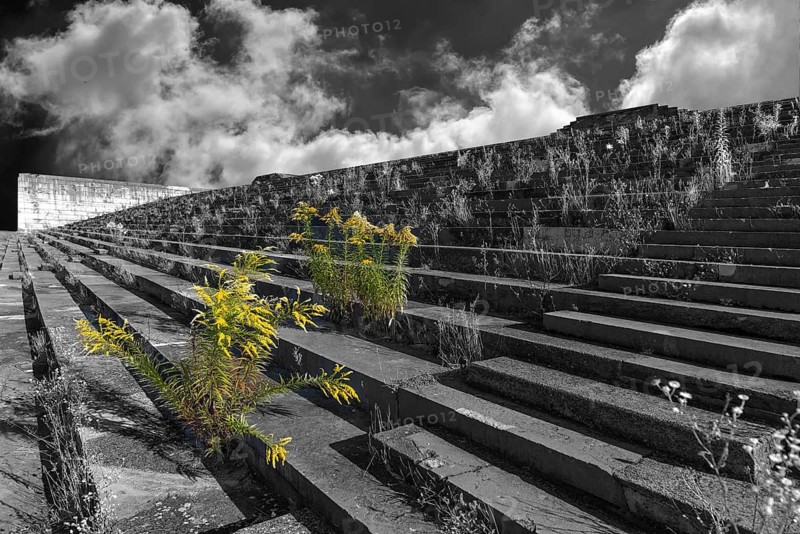Wild plants grow on the main stand of the Zeppelin field on the former National Party Rally grounds, cloudy sky, black and white, Nuremberg, Middle Franconia, Bavaria, Germany