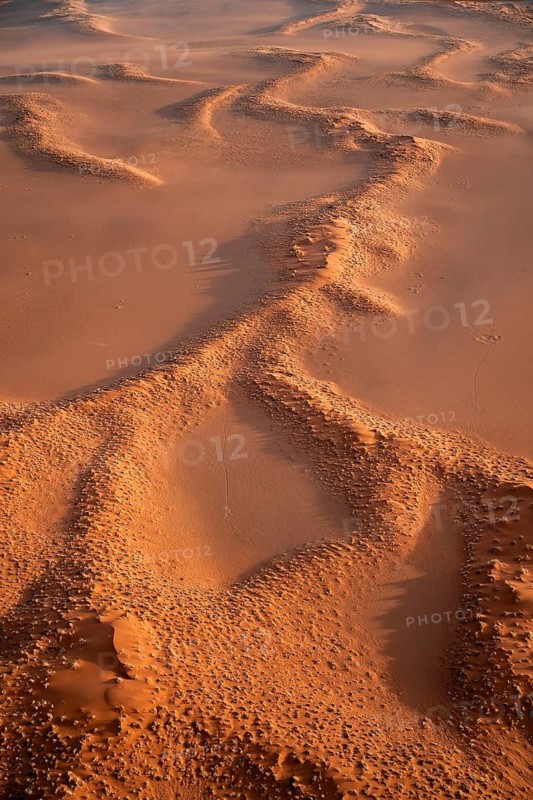 Aerial view, sand dunes with vegetation in the Namib Desert, Namib Naukluft Park, Namibia