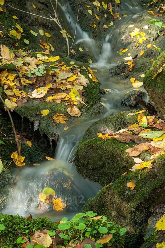 Autumn, stream, flowing water, autumn, high size, portrait format, landscape, spring area