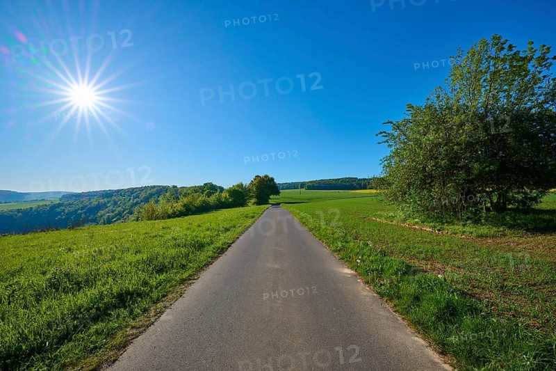 Straight country road leads through green fields under bright skies, Urphar, Wertheim, Main Tauber Kreis, Spessart, Lower Franconia, Baden-Württemberg, Germany