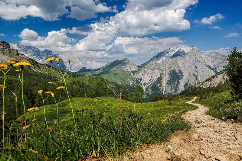 Distant view of the Kawendel Mountains with rocky mountain trail and green meadows, Kawendel, Tyrol, Austria