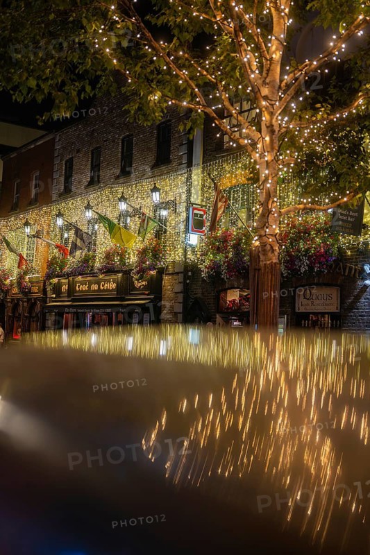 Shiny lights decorate a tree in front of a cozy pub on a city street, Nightlife, Dublin, Ireland