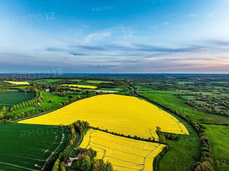 Sunset of Rapeseed Fields and Farms over Horsebridge nad Stockbridge from a drone, Hampshire, England, United Kingdom