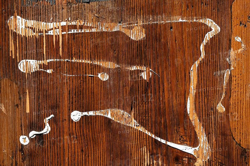 White paint on painted wooden wall, Florence, Tuscany, Italy