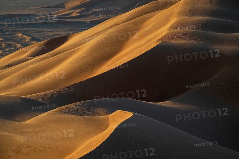 Sand dunes in the Rhub al Khali desert, empty quarter, largest sandy desert in the world, Oman