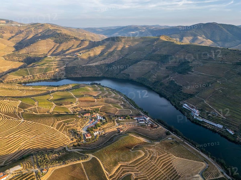 Drone view of terraced vineyards climbing hills above the Douro River in Portugal, revealing layered agricultural patterns and winding rural roads