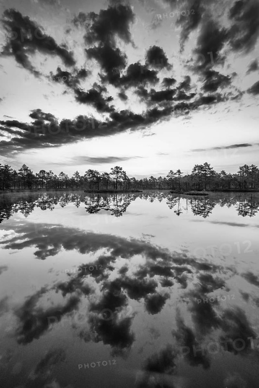 Cloud reflection in a moor lake, Knuthöjdsmossen Nature Reserve, Västmanland, Sweden, July 2018