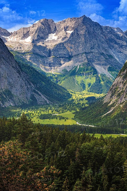 Large maple soil in the Karwendel nature park Park in Rißtal, Hinterriß, Tyrol, Austria