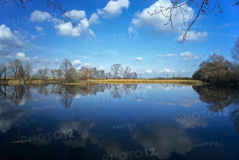 Germany, Greiz, Kauern, Kauernscher Teich, Thuringia, Thuringia, landscape, pond, standing water, pond