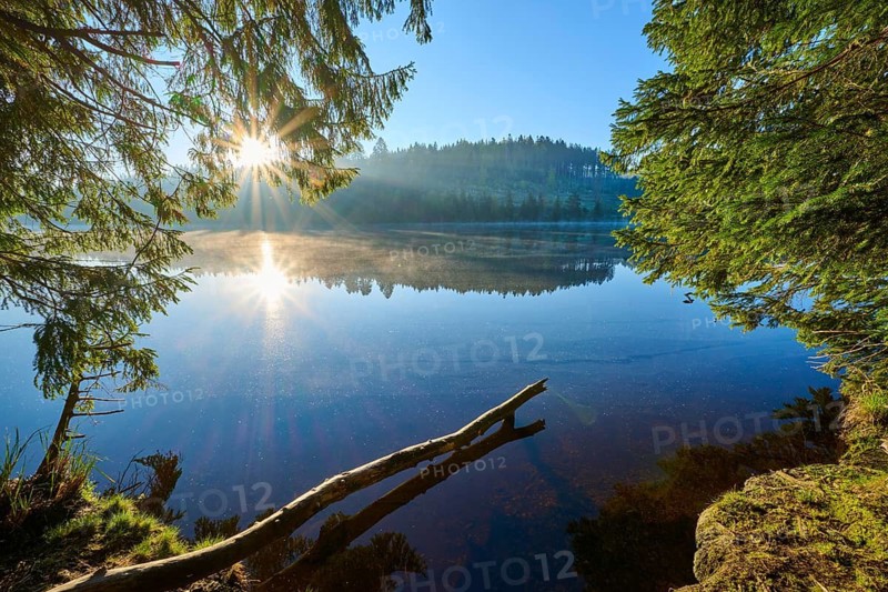 Sunrise over a calm lake with reflecting surface and surrounding trees, Windgfällweiher, Lenzkirch, Black Forest, Breisgau Hochschwarzwald, Baden-Württemberg, Germany
