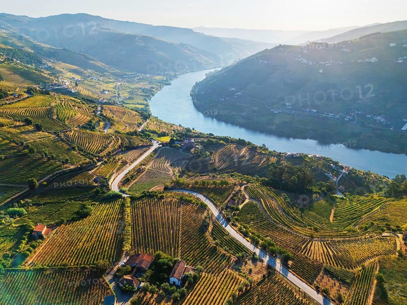 Aerial sunrise view of winding roads, terraced vineyards, and the Douro River in Portugal's Douro Valley