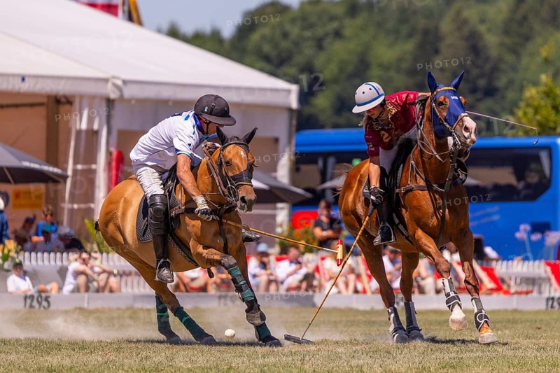 Heino Ferch, polo player, polo horse, polo pony (Equus), rider, polo tournament, 1295 Polo Masters, Sylvenstal, Pfullendorf, Linzgau, Sigmaringen district, Baden-Württemberg, Germany