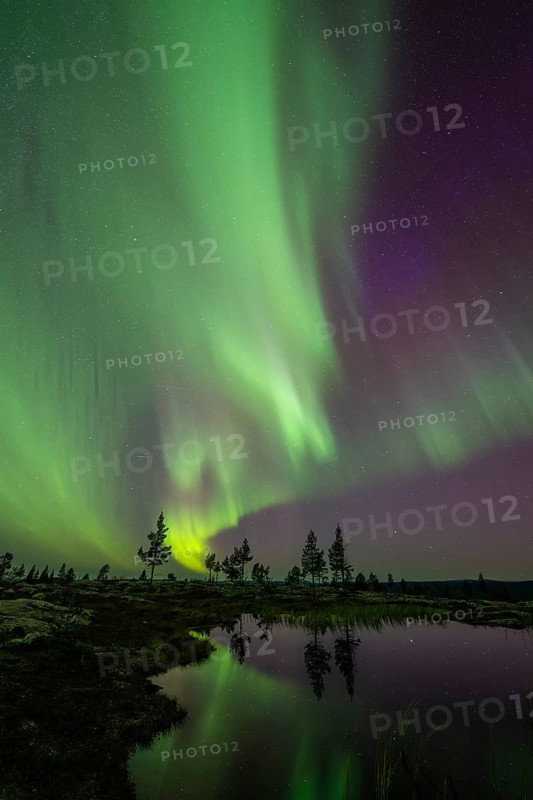 Northern Lights (Aurora borealis) reflected in a mountain lake, Norrbotten, Lapland, Sweden, September 2024