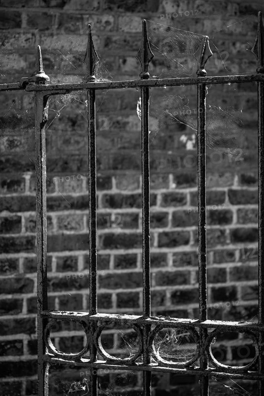 Black and white photo, old metal fence with cobwebs in front of a weathered brick wall, Chelsea, London, Great Britain, England, Great Britain