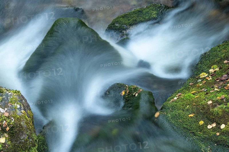 Moss-covered stones in mountain stream, Alvdal, Hedmark, Innlandet, Norway, September 2025