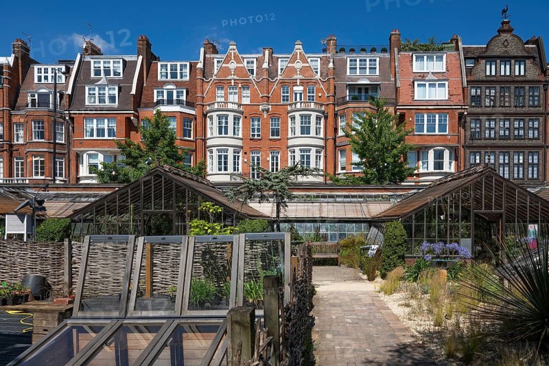 Victorian townhouses on Royal Hospital Road, historic greenhouses, Chelsea Physic Garden, historic botanical garden, oldest botanical garden in London, founded in 1673 by the Worshipful Society of Apothecaries, Chelsea, England, Great Britain, Great Britain