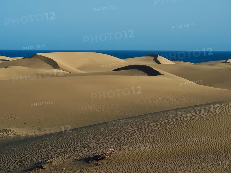 Sand dunes stretch against clear blue skies and calm atmosphere, Maspalomas Dunes, Gran Canaria, Spain