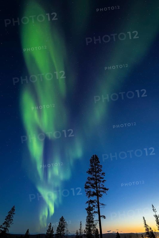 Northern Lights (Aurora borealis), Gällivare, Norrbotten, Lapland, Sweden, April 2025