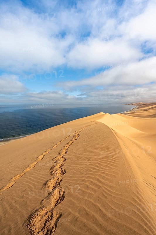 Sand dunes and sea, Atlantic coast and sandy desert with sea of dunes, Sandwich Harbour, Namib Naukluft Park, Namib Desert, Namibia