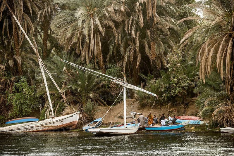 Fishermen and palm trees on the Nile, near Edfu, Upper Egypt, Egypt