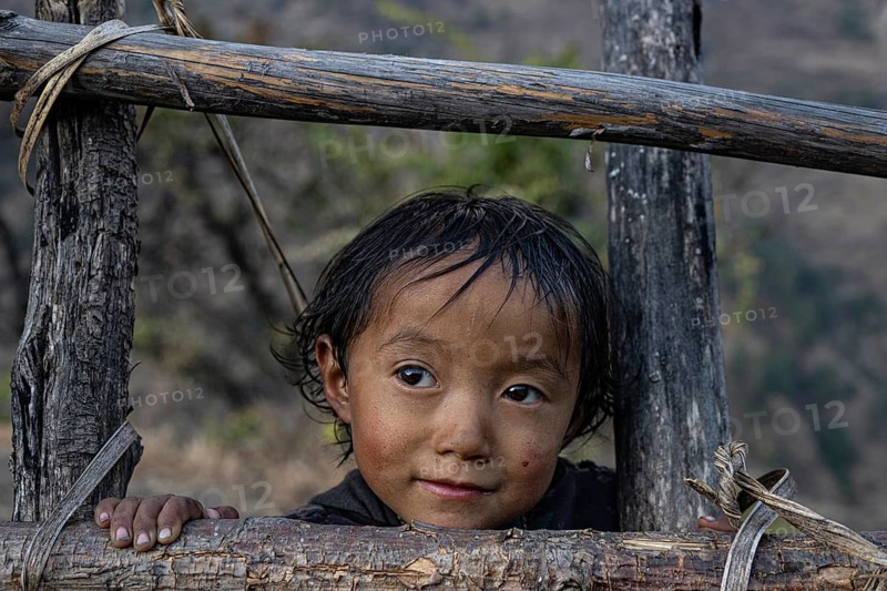 Portrait, small hunge looking through fence, local of the Tsumba Tibetan ethnic group, Tsum Valley, Himalayas, Nepal