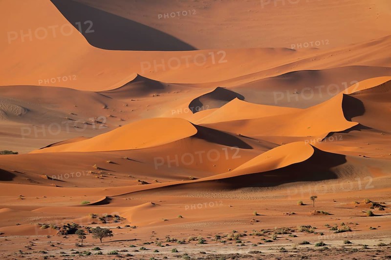 Red-yellow sand dunes of the Namib, Namib Desert, Namib-Naukluft National Park, Namibia