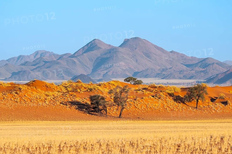 Dunes, landscape in the NamibRand Nature Reserve, in the back Naukluft Mountains, Namib Desert, Namibia