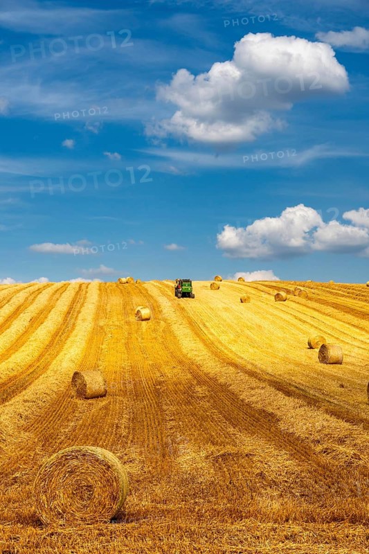 Straw harvest, after harvesting the straw, previously mowed, dried and laid in rows, so-called plumes, is pulled by a round baler, by a tractor, picked up, pressed into compressed bales and placed in the field, used as animal feed, in Mülheim-Menden, Acker an der Mendener Straße, midsummer, harvest at over 30C, Mülheim an der Ruhr, North Rhine-Westphalia, Germany