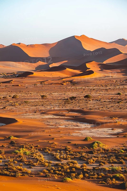 Large red sand dunes in the Namib Desert, Namib Naukluft Park, Namibia