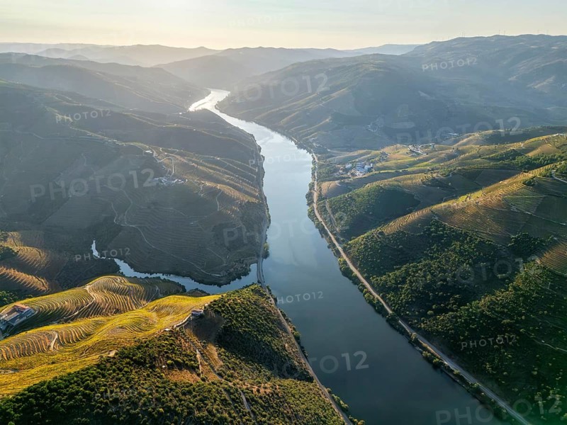 Aerial sunrise view of the Douro River flowing between terraced vineyard hills in Portugal's Douro Valley, bathed in soft golden light