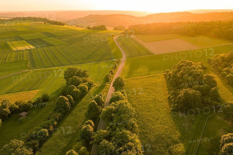 A trail through lush green countryside in the warm evening sun, Gechingen, Hecken and Gäu region, Landreis Calw, Germany