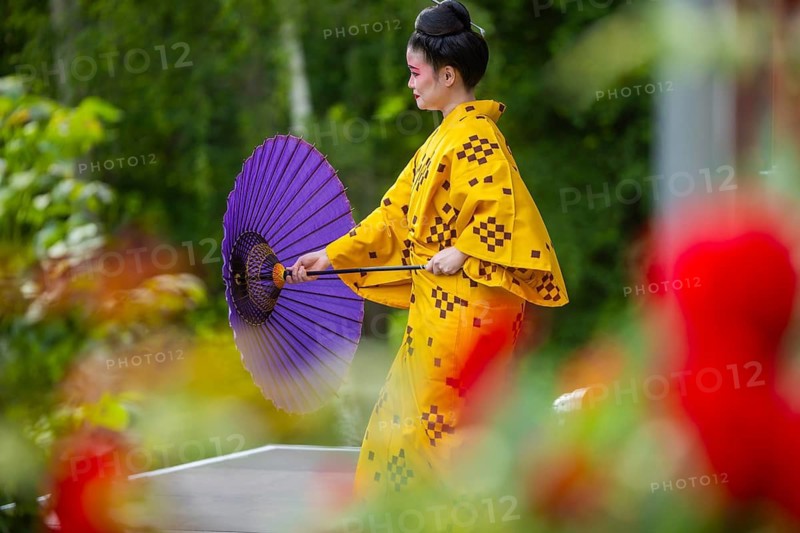 Art summer at the Red House 2026 from June 6 to August 30. Japanese dance performance by the master of traditional Ry-uky-u dance and Uta-Sanshin, Riko Sugama, Dippelsdorf, Saxony, Germany