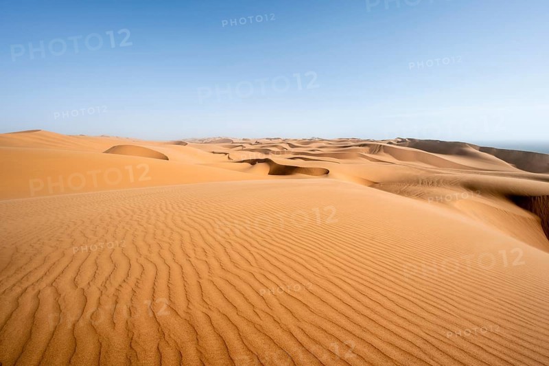 Sand dunes with wave patterns, dune sea, sandy desert, impressive desert landscape, Namib Naukluft Park, Namib desert, Namibia