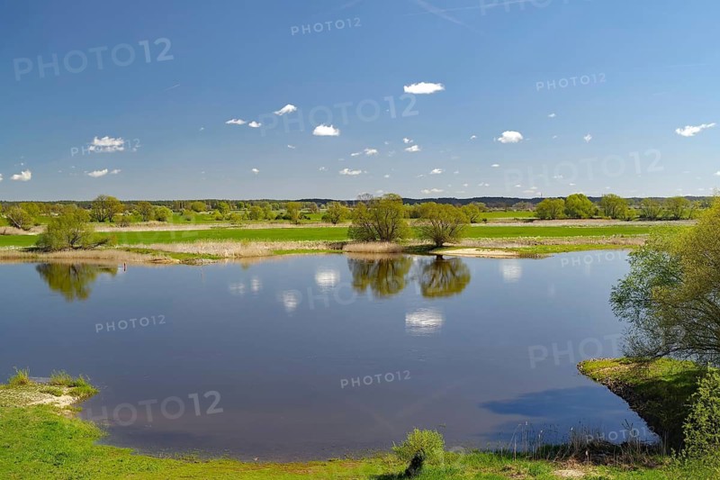 A quiet river with reflecting trees under a blue sky, Elbe, Drethem, Elbuferstraße, Wendland, Lower Saxony, Germany