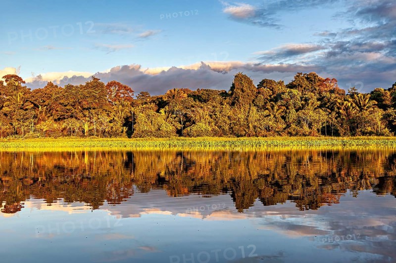 Tranquil scene of a river with trees and cloud reflections, sunset on the Beni River near Rurrenabaque in the Amazon basin in Bolivia