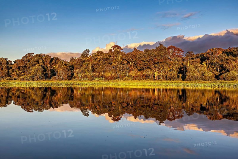 Peaceful river landscape with clear reflection and blue sky, sunset on the Beni River near Rurrenabaque in the Amazon basin in Bolivia