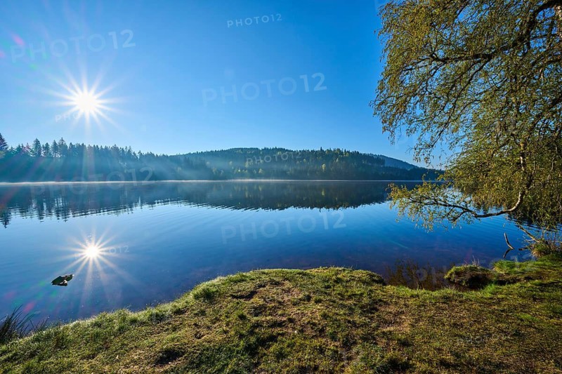 Sunbeams over calm water, surrounded by treetops and grasses, Windgfällweiher, Lenzkirch, Black Forest, Breisgau Hochschwarzwald, Baden-Württemberg, Germany