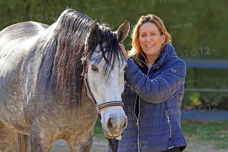 Andalusian, Pura Raza Española, Fröndenberg, North Rhine-Westphalia, Germany, love for horses, partnership