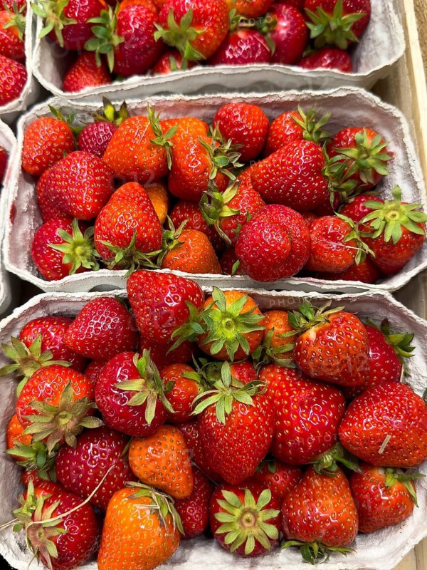Freshly picked red strawberries fruit in small cardboard basket displayed by grocery store grocer, international