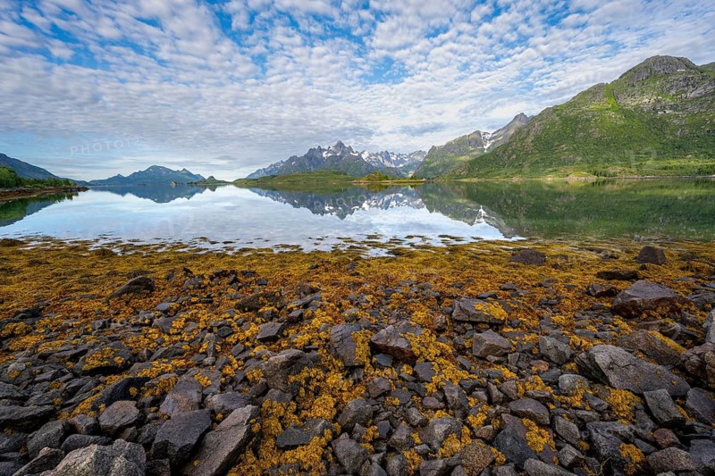 Shores with overgrown stones, picturesque fjord landscape at Raftsund fjord, mountains reflected in water, Vesterålen, Norway