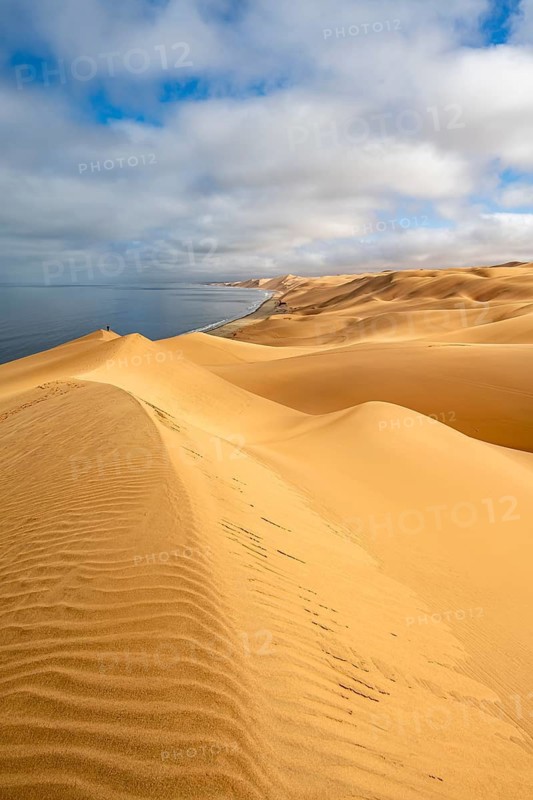 Sand dunes and sea, Atlantic coast and sandy desert with sea of dunes, Sandwich Harbour, Namib Naukluft Park, Namib Desert, Namibia