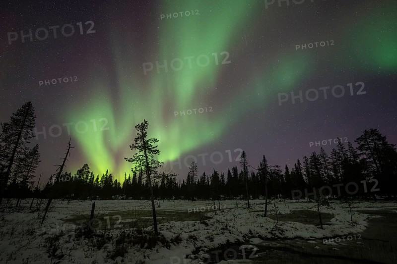 Northern Lights (Aurora borealis), Muddus National Park, Laponia World Heritage Site, Norrbotten, Lapland, Sweden, October 2024
