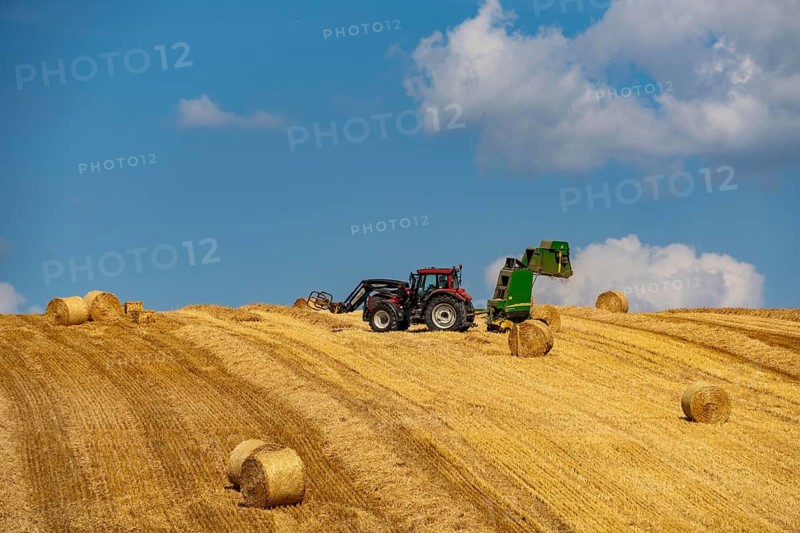 Straw harvest, after harvesting the straw, previously mowed, dried and laid in rows, so-called plumes, is pulled by a round baler, by a tractor, picked up, pressed into compressed bales and placed in the field, used as animal feed, in Mülheim-Menden, Acker an der Mendener Straße, midsummer, harvest at over 30C, Mülheim an der Ruhr, North Rhine-Westphalia, Germany