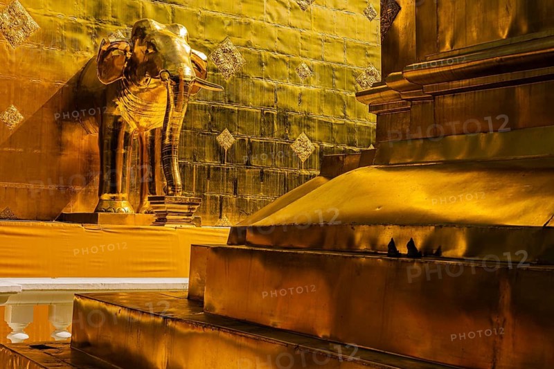 Gilded elephant statue in the Wat Phra Singh Buddhist temple complex, Chiang Mai Old City Center, Chiang Mai Province, Thailand