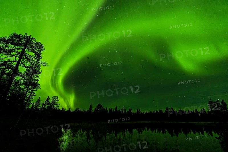 Northern Lights (Aurora borealis), Muddus National Park, Laponia World Heritage Site, Norrbotten, Lapland, Sweden, September 2020