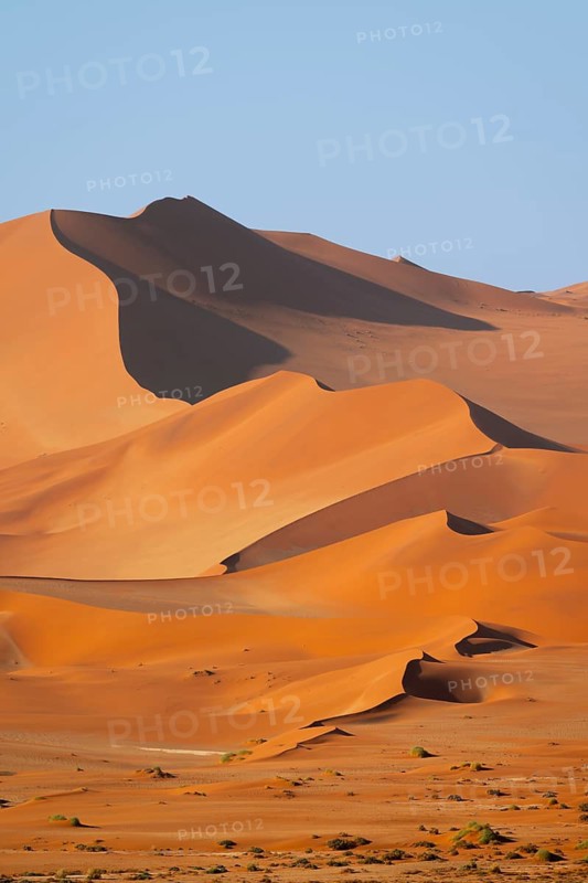Red-yellow sand dunes of the Namib, Namib Desert, Namib-Naukluft National Park, Namibia